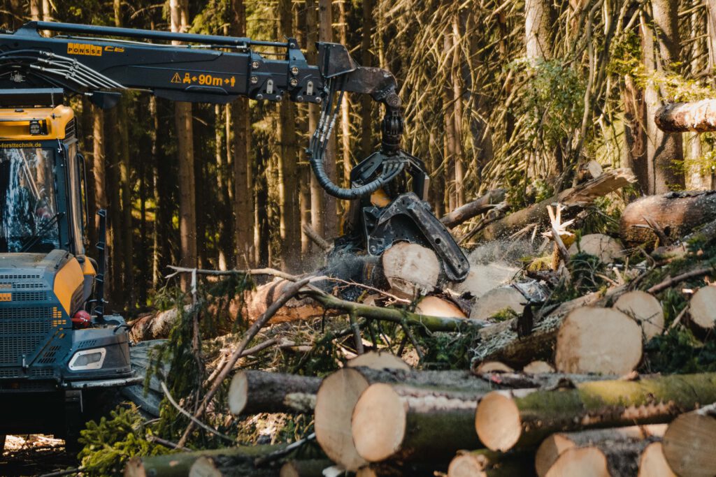 Forstservice Harrer & Mayer OHG – Wir pflegen Ihren Wald